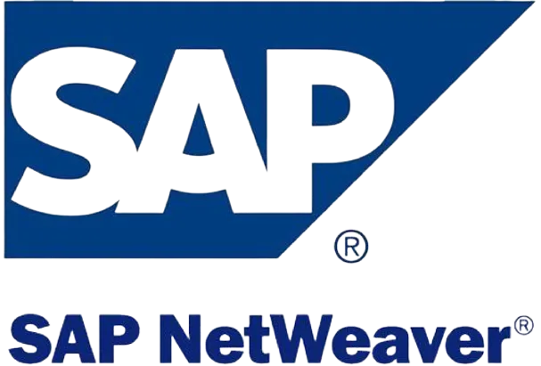 SAP Netweaver SSO solution