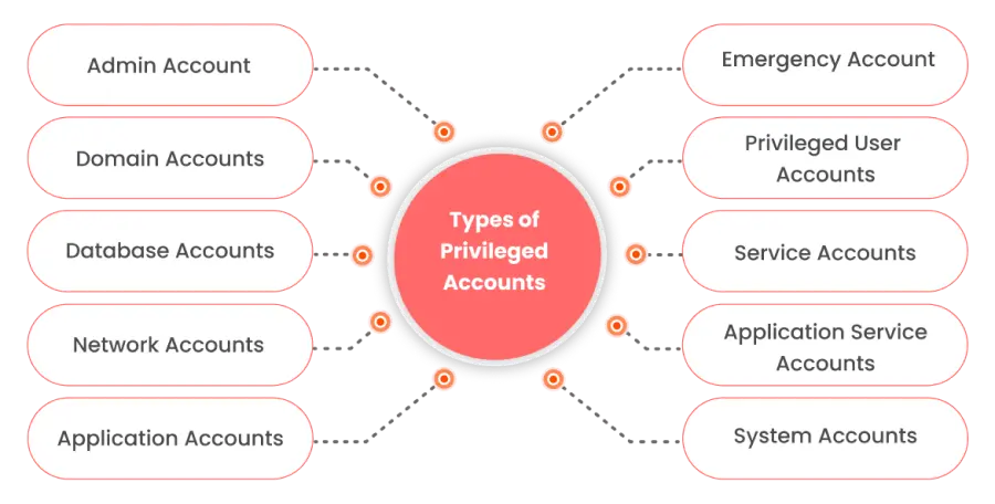 types of Privileged accounts