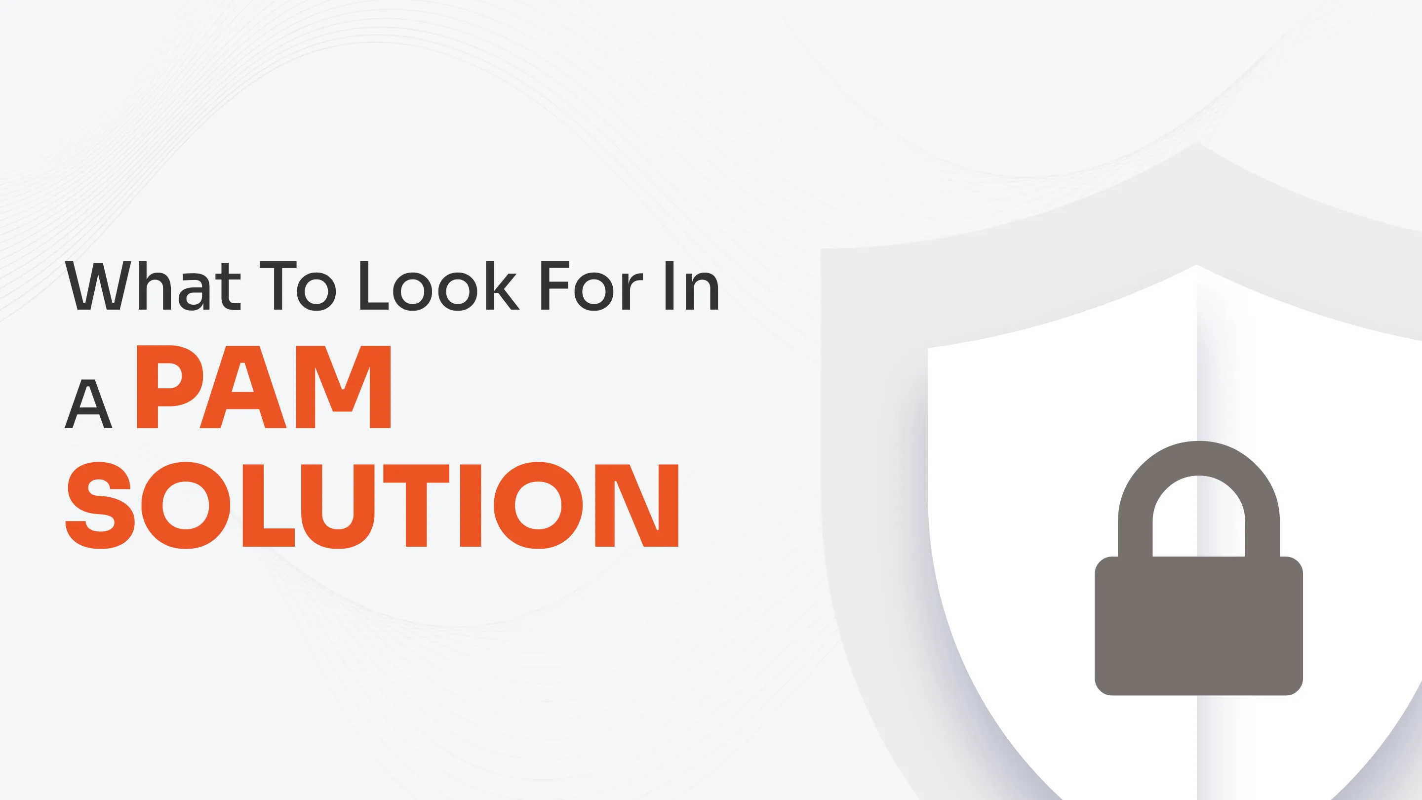 what-to-look-for-in-a-pam-solution