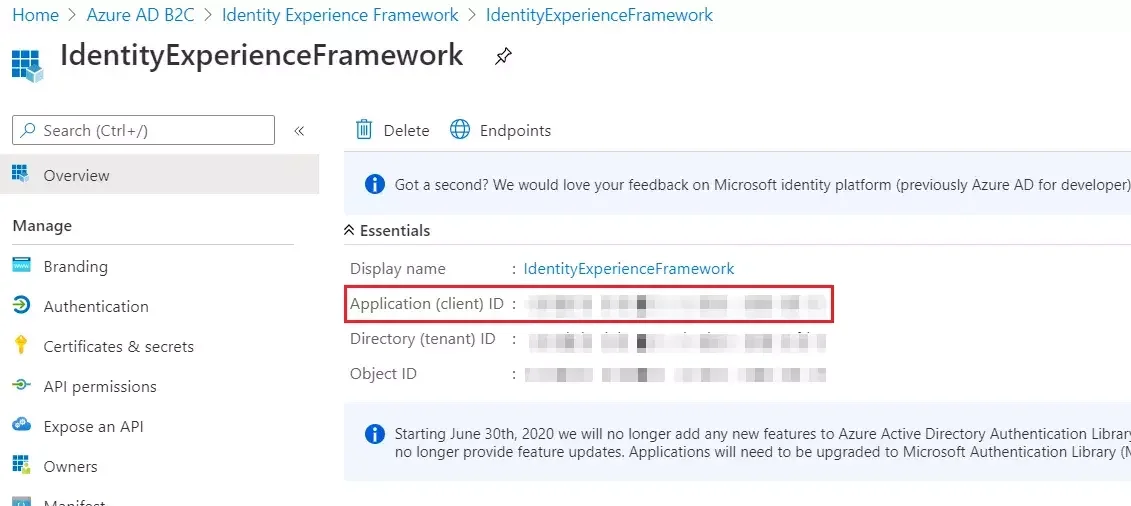 Azure B2C SSO : Copy Application (client) ID
