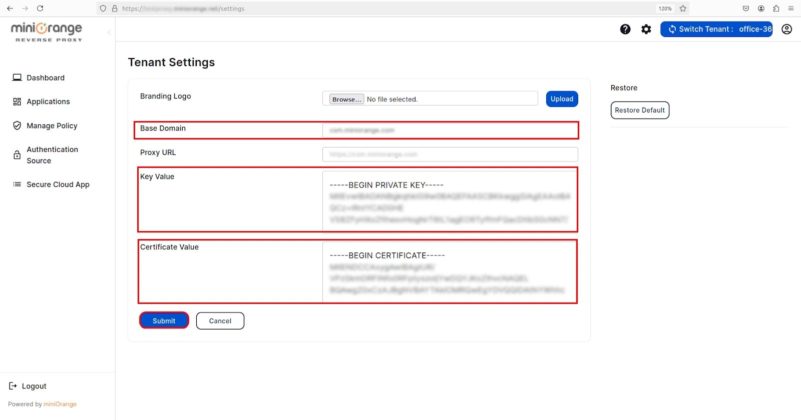 setup Reverse Proxy-branding